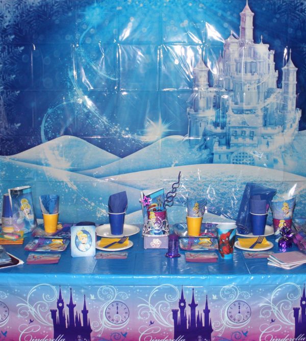 STANDARD CINDERELLA PARTY N A BOX For 16 GUESTS